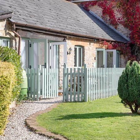 Daisy Cottage Paignton Zewnętrze zdjęcie