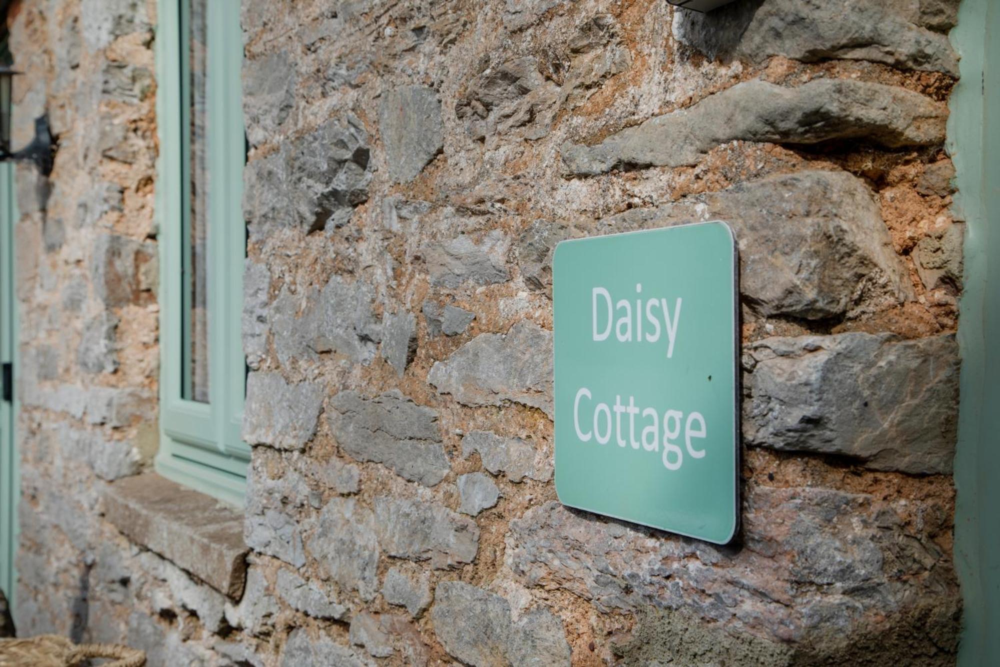 Daisy Cottage Paignton Zewnętrze zdjęcie
