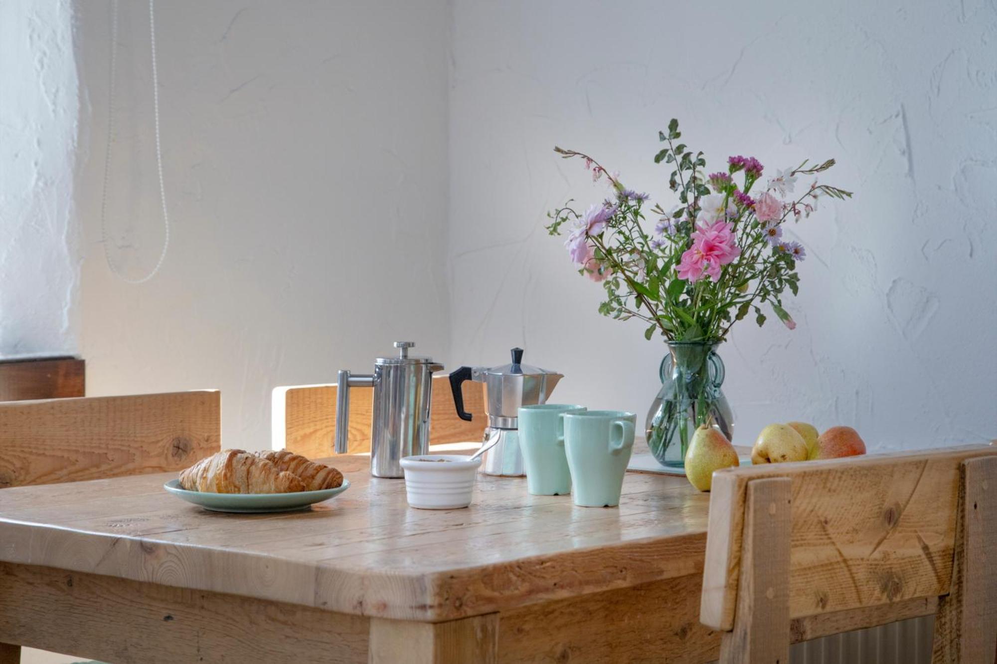 Daisy Cottage Paignton Zewnętrze zdjęcie